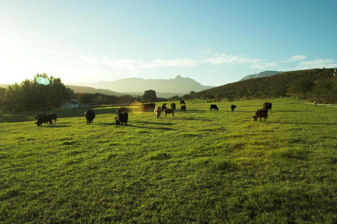 Zeekoegat Historical Homestead Riversdale Kültér fotó