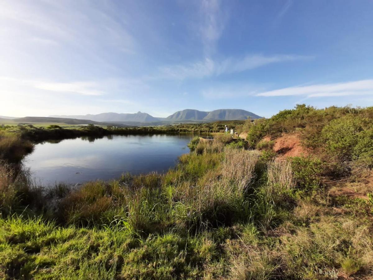 Zeekoegat Historical Homestead Riversdale Kültér fotó